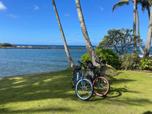 Load image into Gallery viewer, Electric Bike Rental