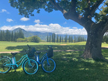 Load image into Gallery viewer, Electric Bike Rental